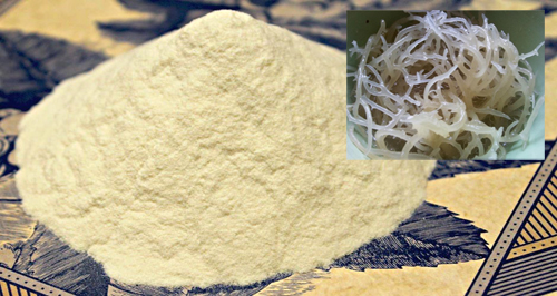 Агар-агар купить Агар-агар купить