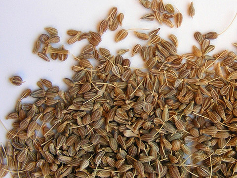 анис семена фото