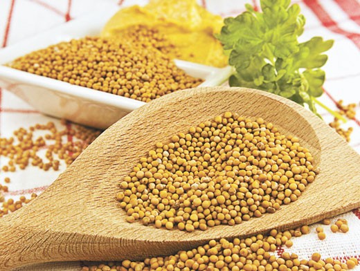 Горчица жёлтая в зёрнах