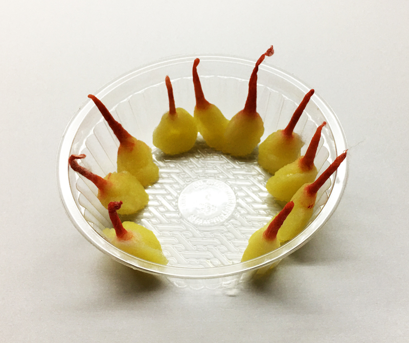 Гнотики готові до користування, пропитанні в маслі гхі