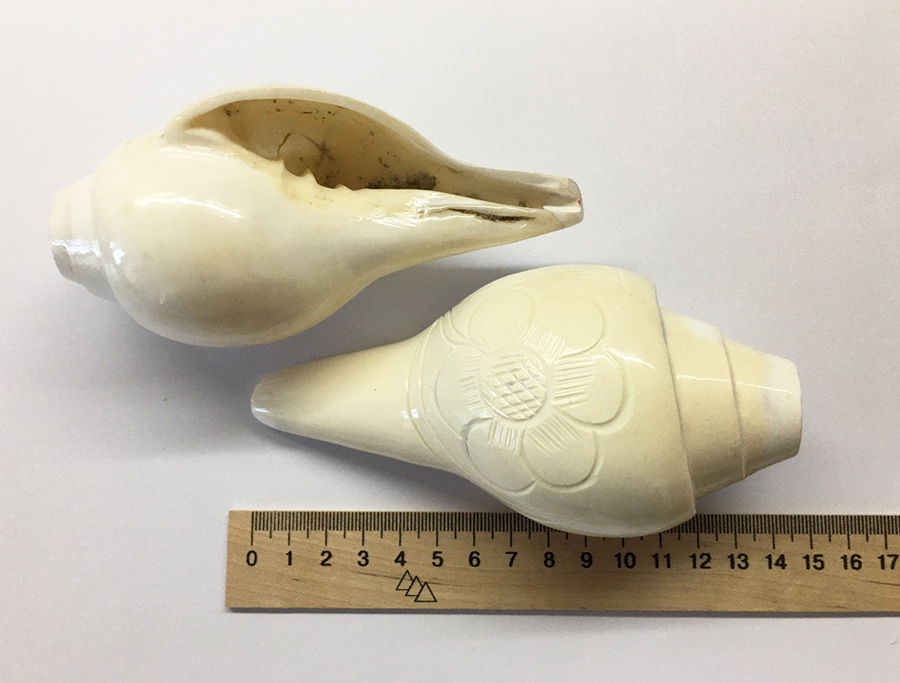 Звучна мушля