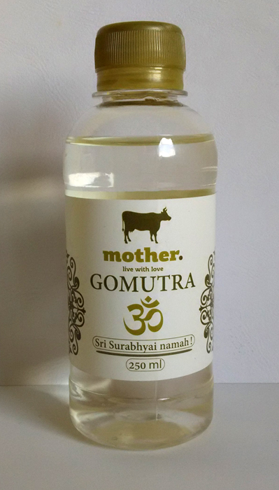 Гомутра - дистильована коров'яча сеча