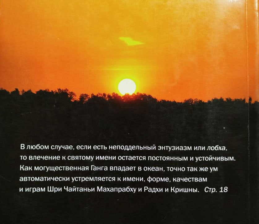 Партха Саратхи Дас Госвами Дневник сражающегося садхаки. Том 5 