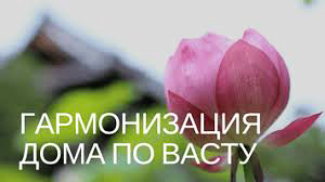 гармонизация дома по васту