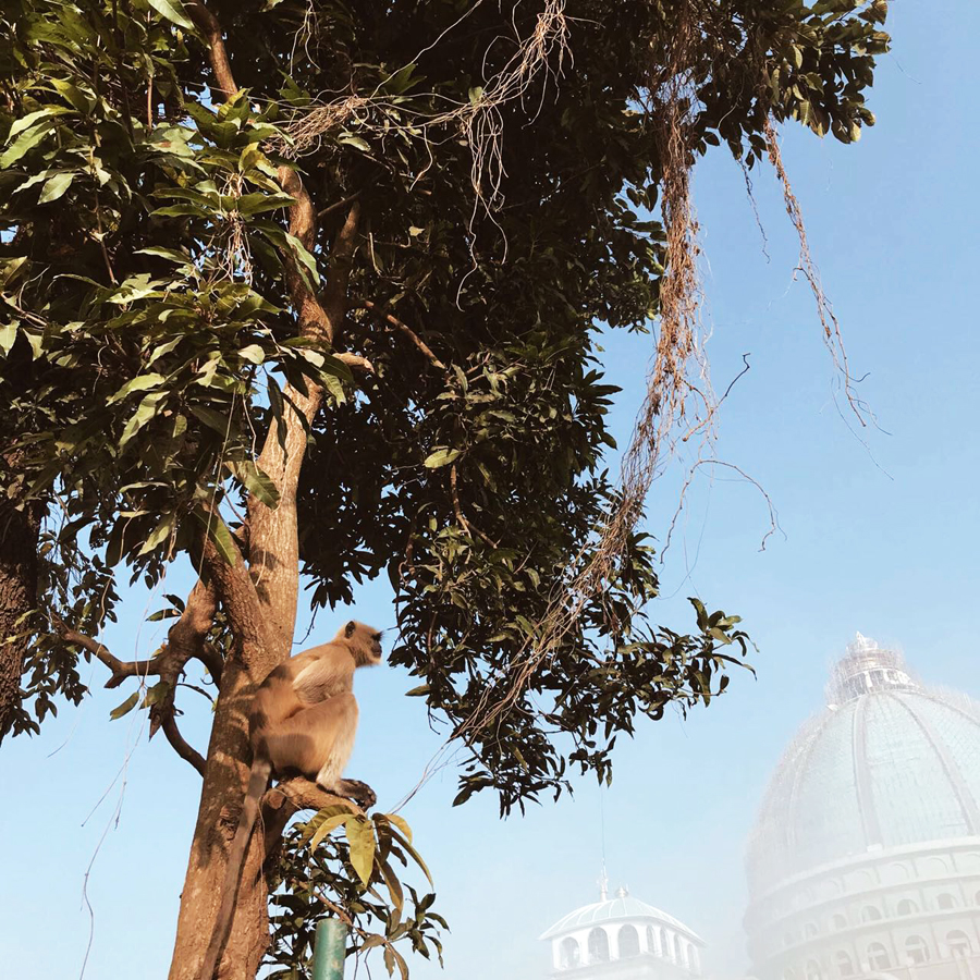 Индия Маяпур