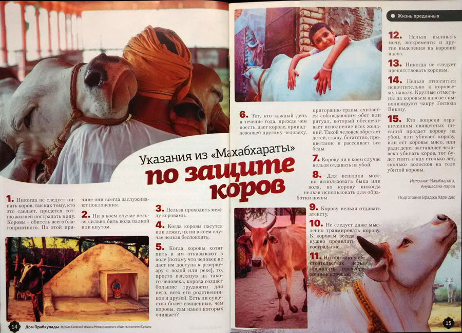 защита коров