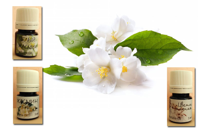 аромат жасмина