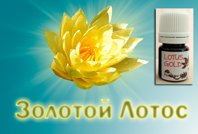 zolotoy-lotus-197