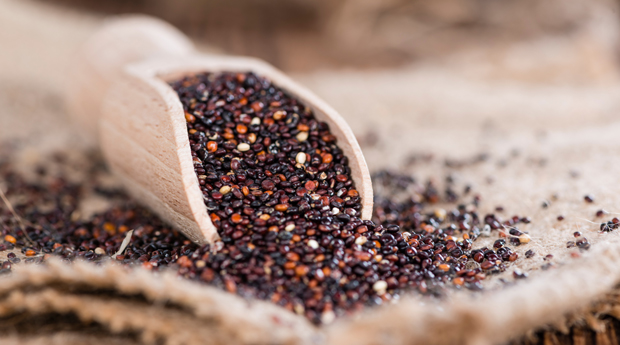 Киноа чёрная купить киев